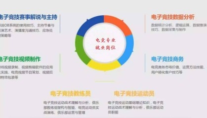  电竞青训体系完善，后备人才储备充足