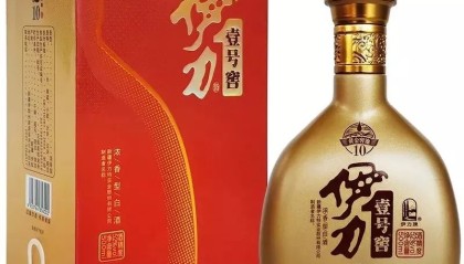  江苏肯帝亚失误连连不敌新疆伊力特